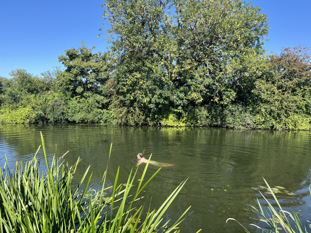 Access to the river