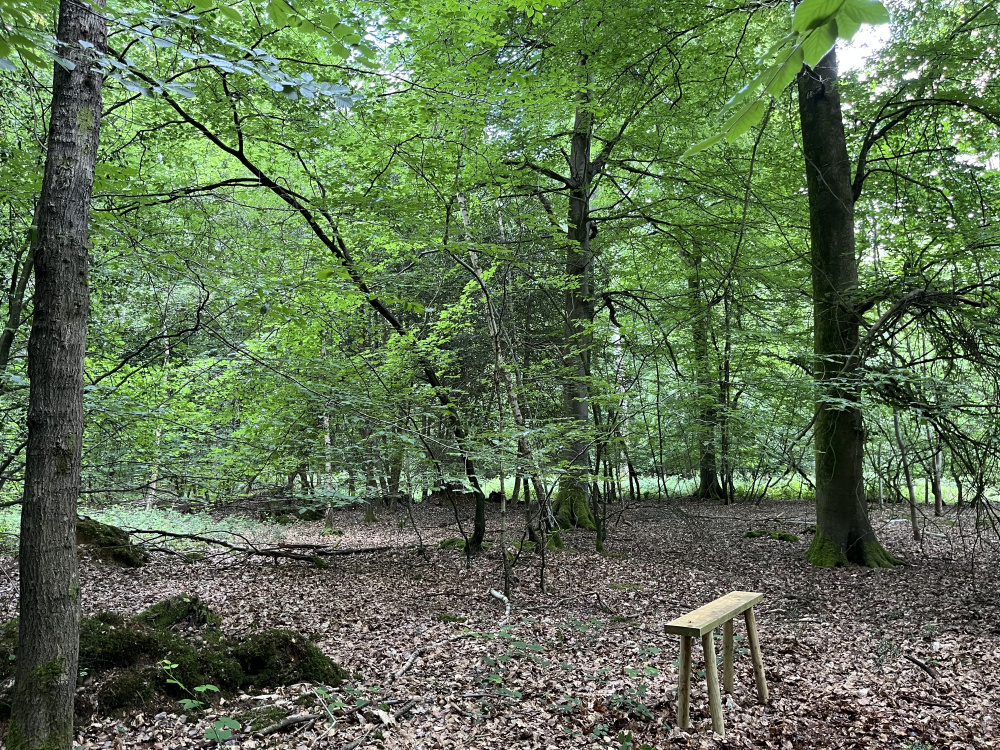 A bench from which to watch the wildlife