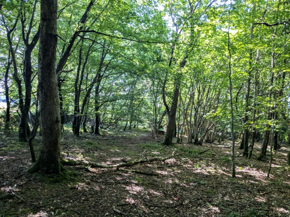 A varied nature haven