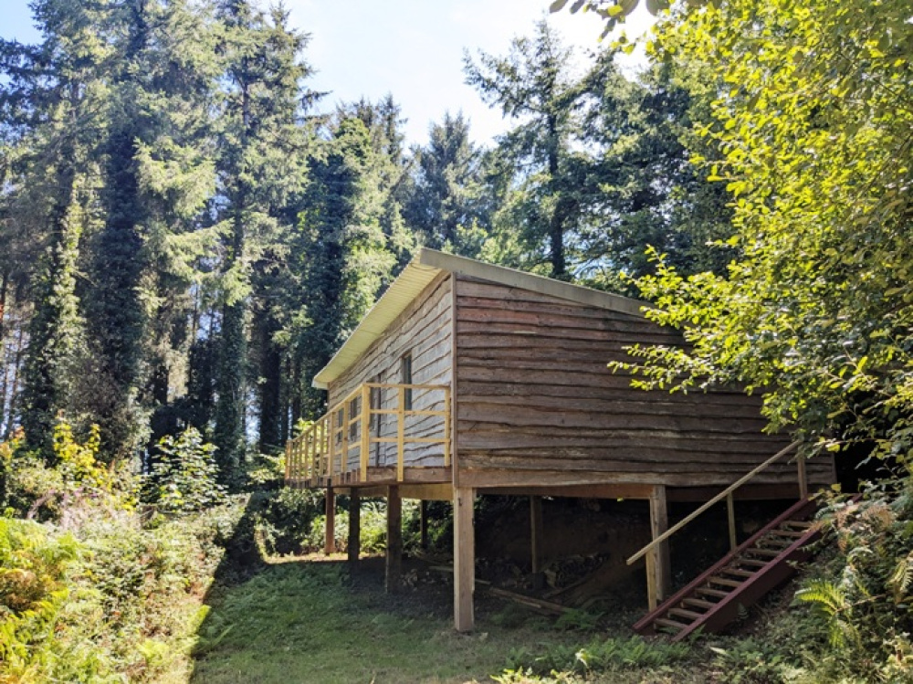 Good sized forestry store in an open clearing