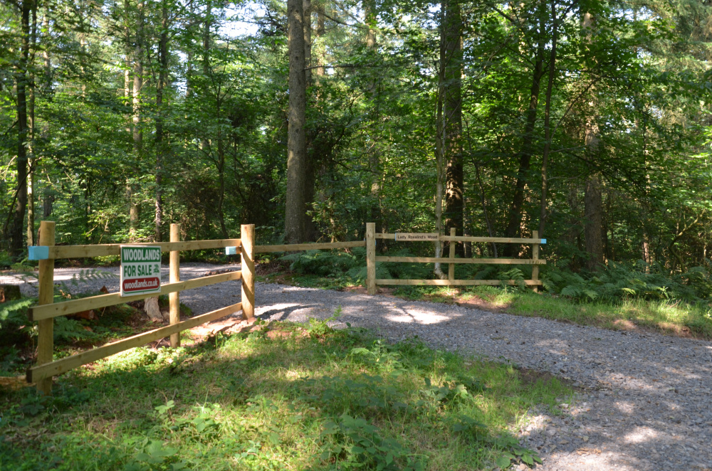 Ride stop entrance