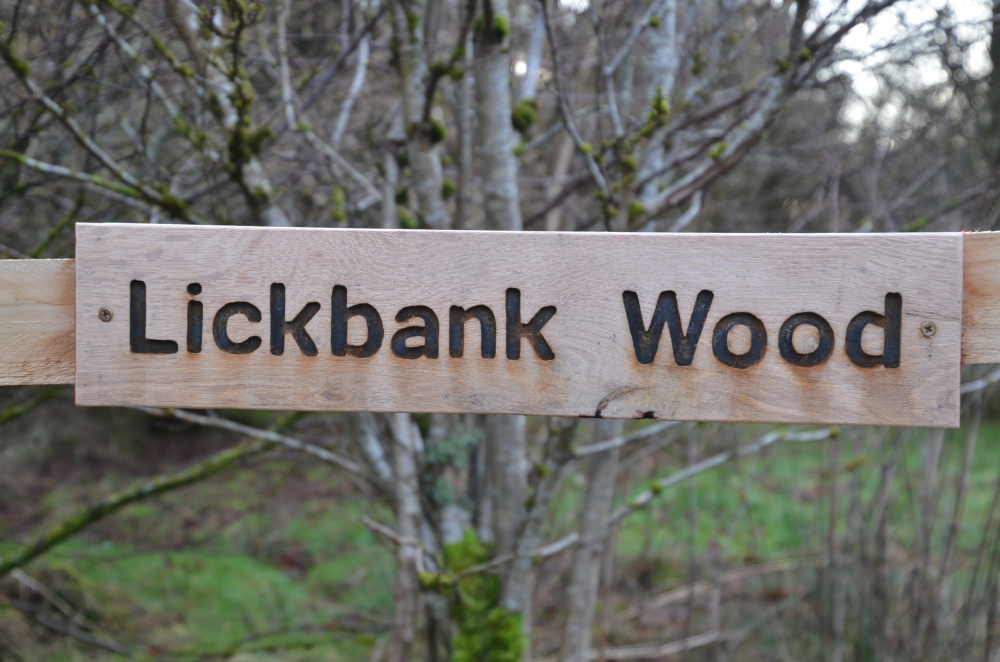 Lickbank Wood