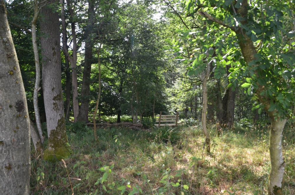 Secluded bench