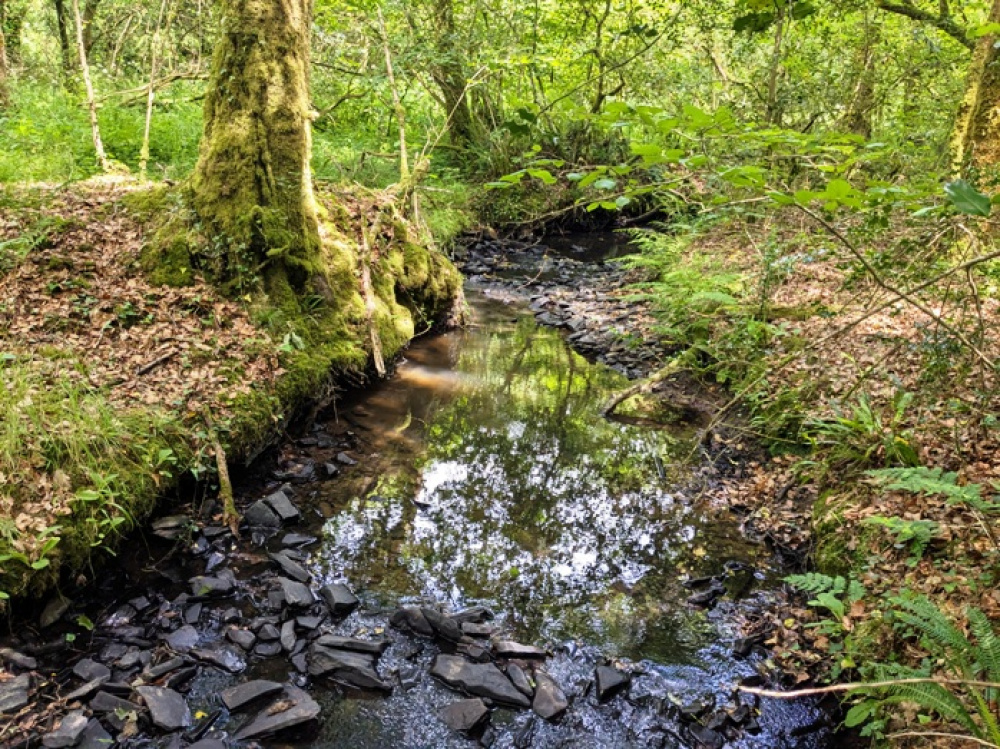 Enjoy access to a stunning stream side bank