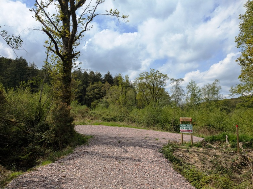 Entrance to the woodland and a private parking space