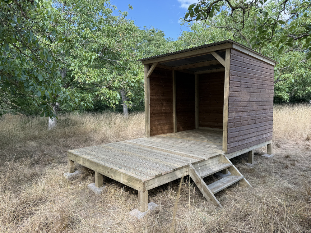 Woodland shelter. 