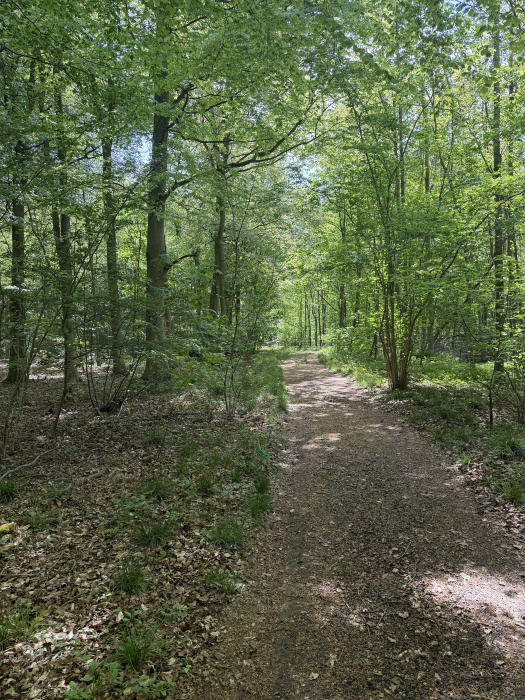 East boundary. 