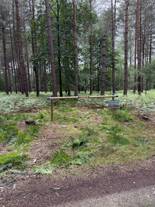 Wood entrance in summer. 