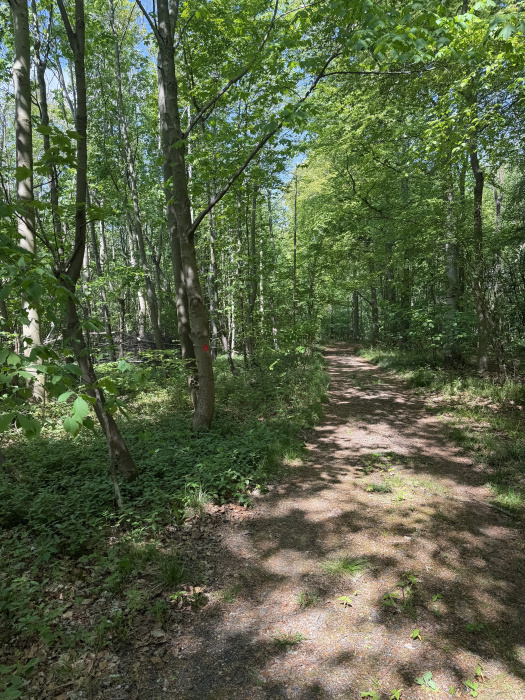 East boundary. 
