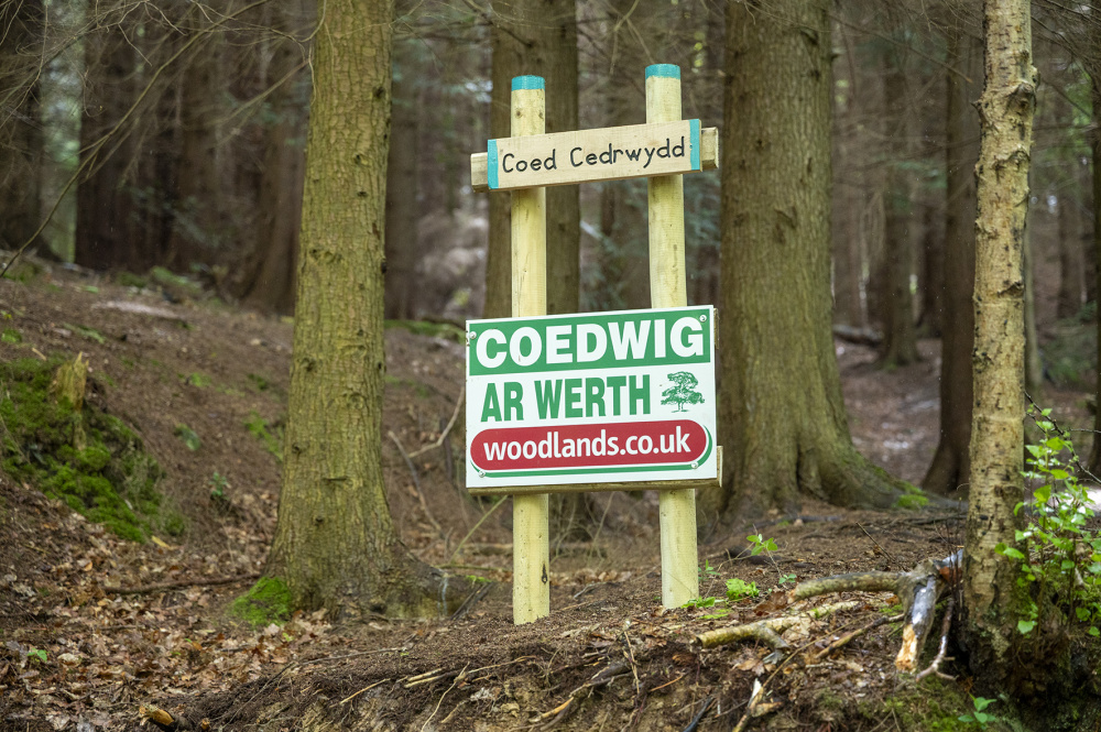 Croeseo - Welcome to Coed Cedrwydd