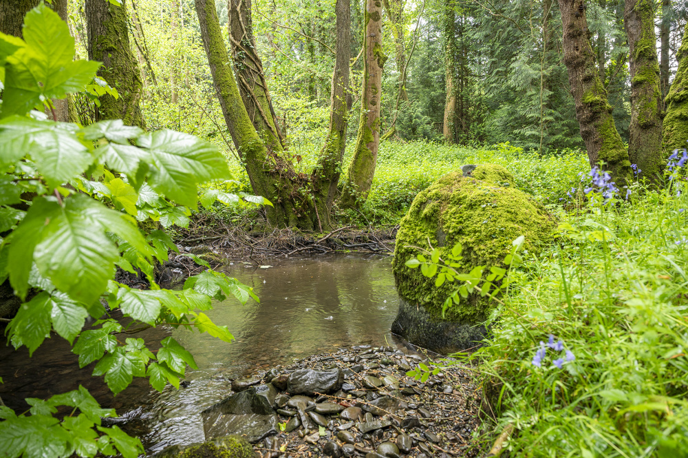 Gentle summertime pools