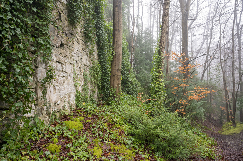 Mysterious walls and levels 