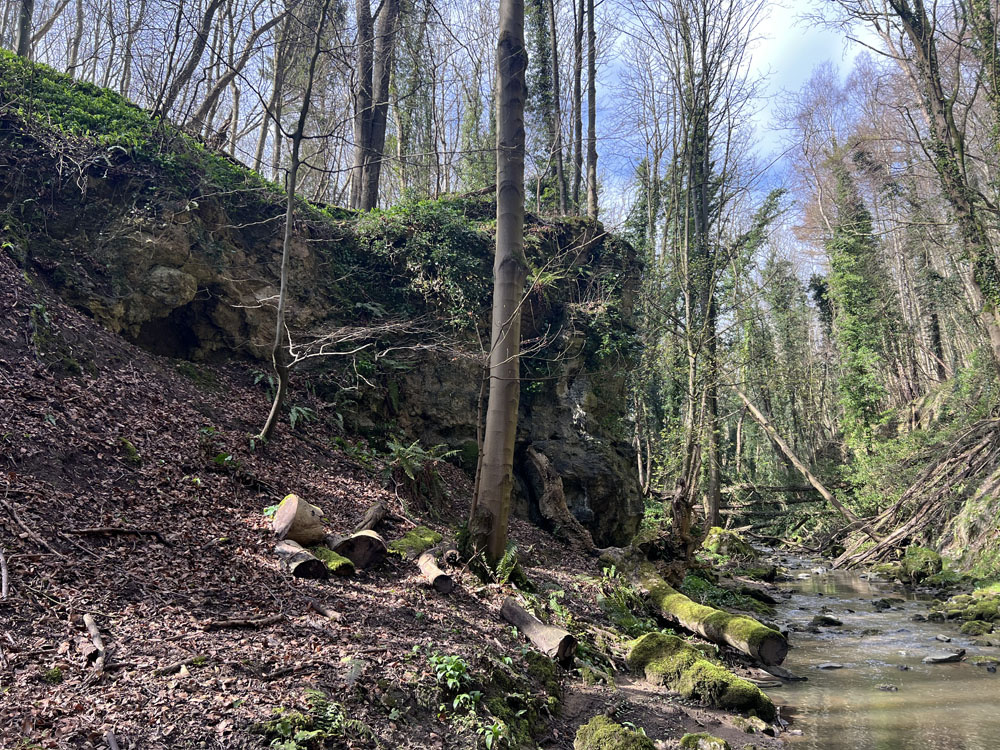 The crag in the northern corner of the wood
