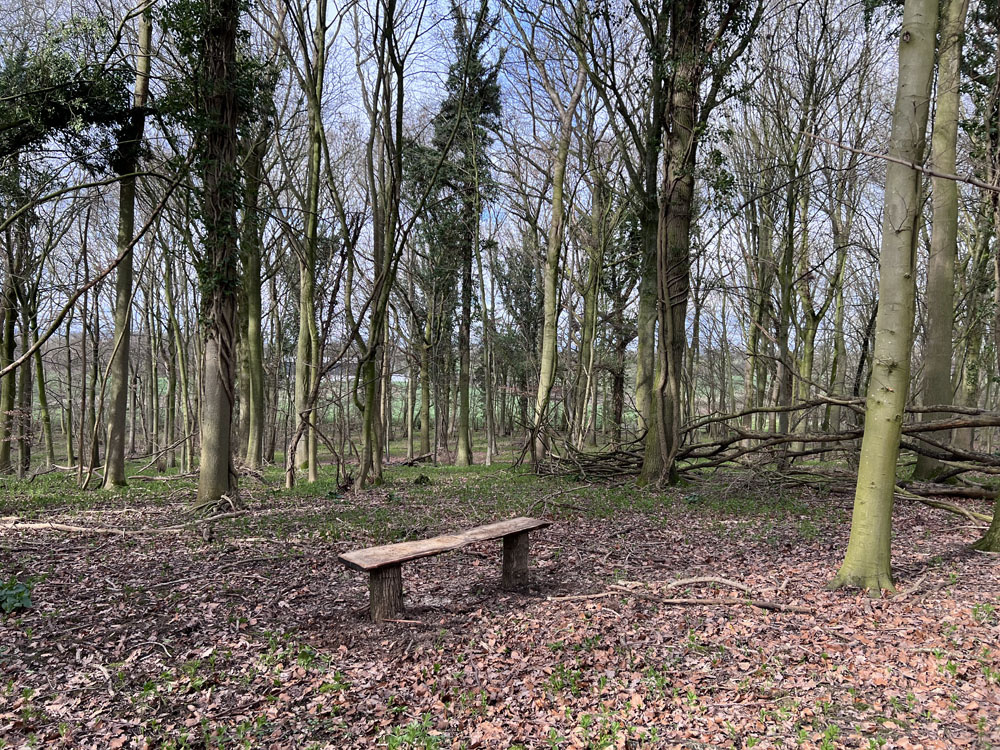 A bench in an elevated position
