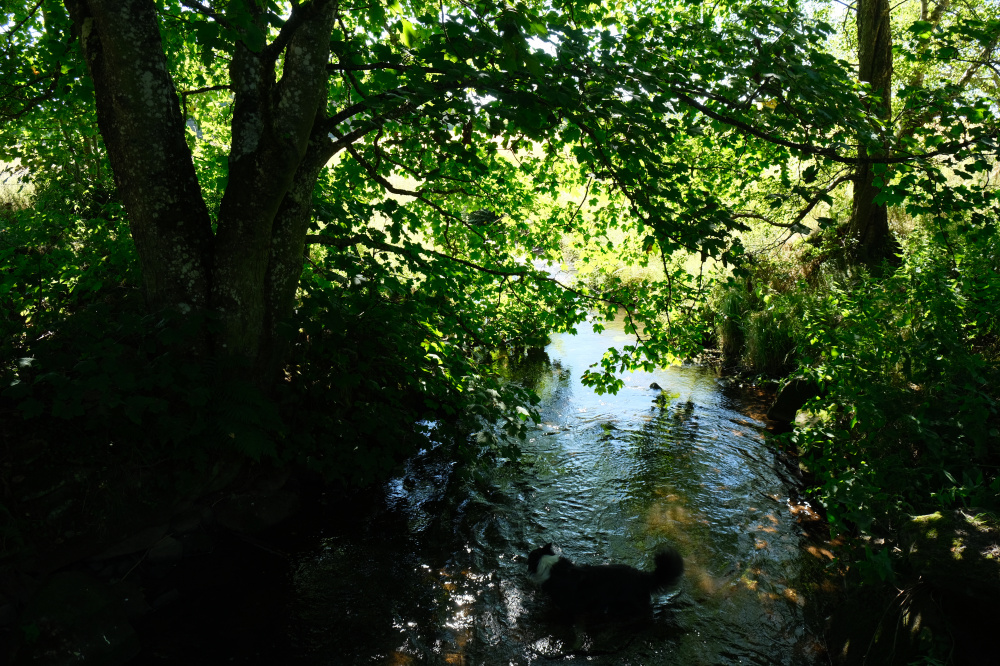 A place to cool off