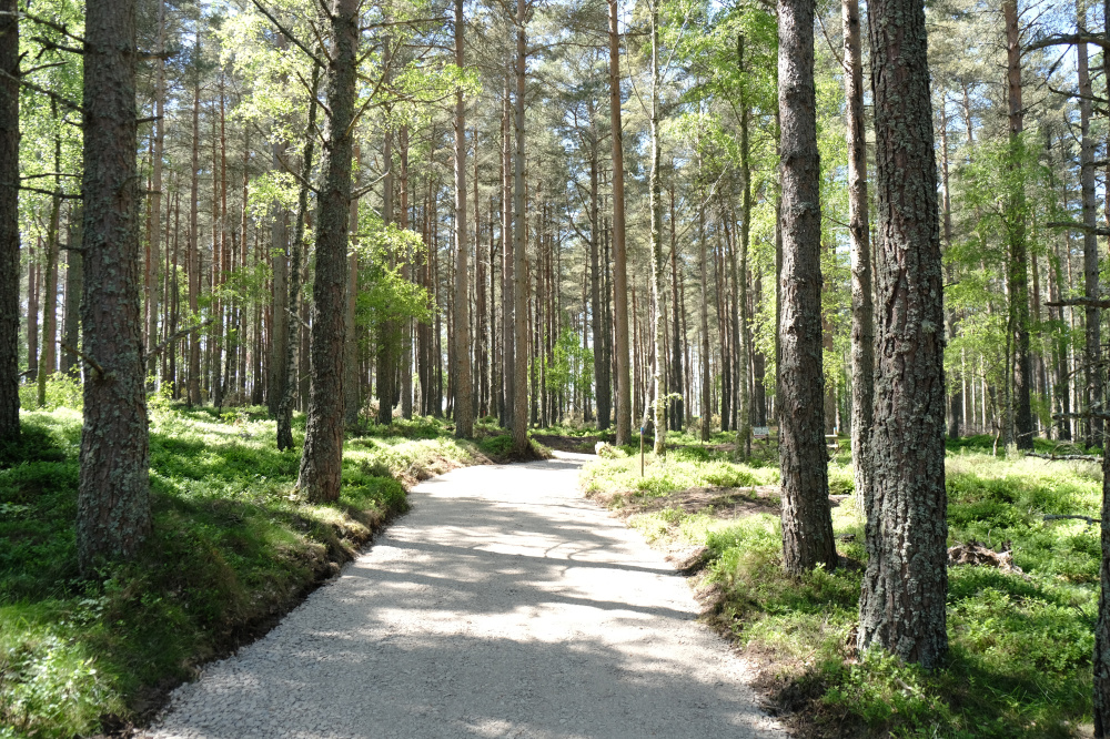 Access track