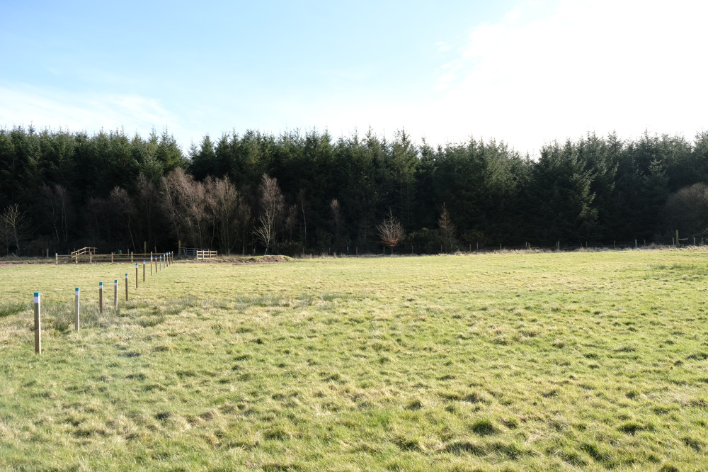 Large grazing or planting land