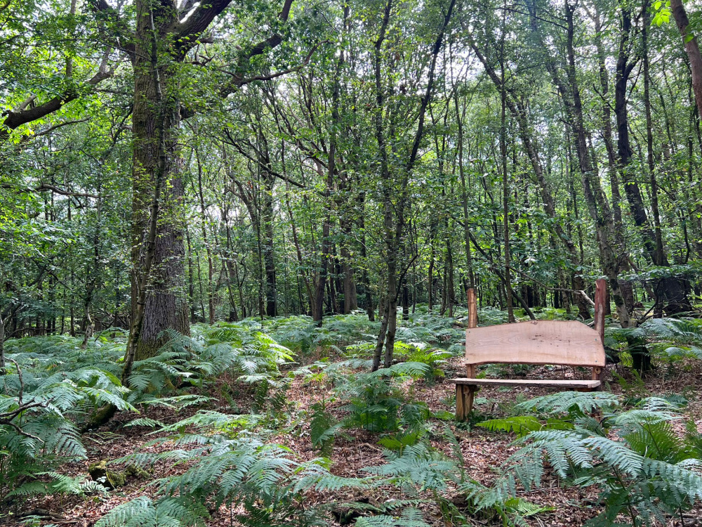 The rustic style bench in a small private clearing