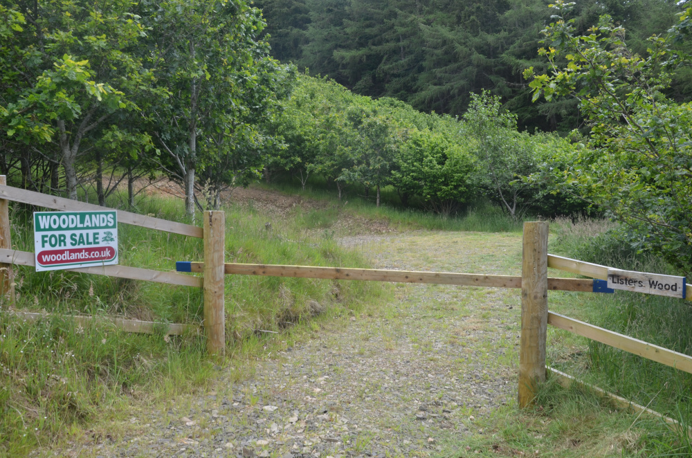 Ridestop entrance