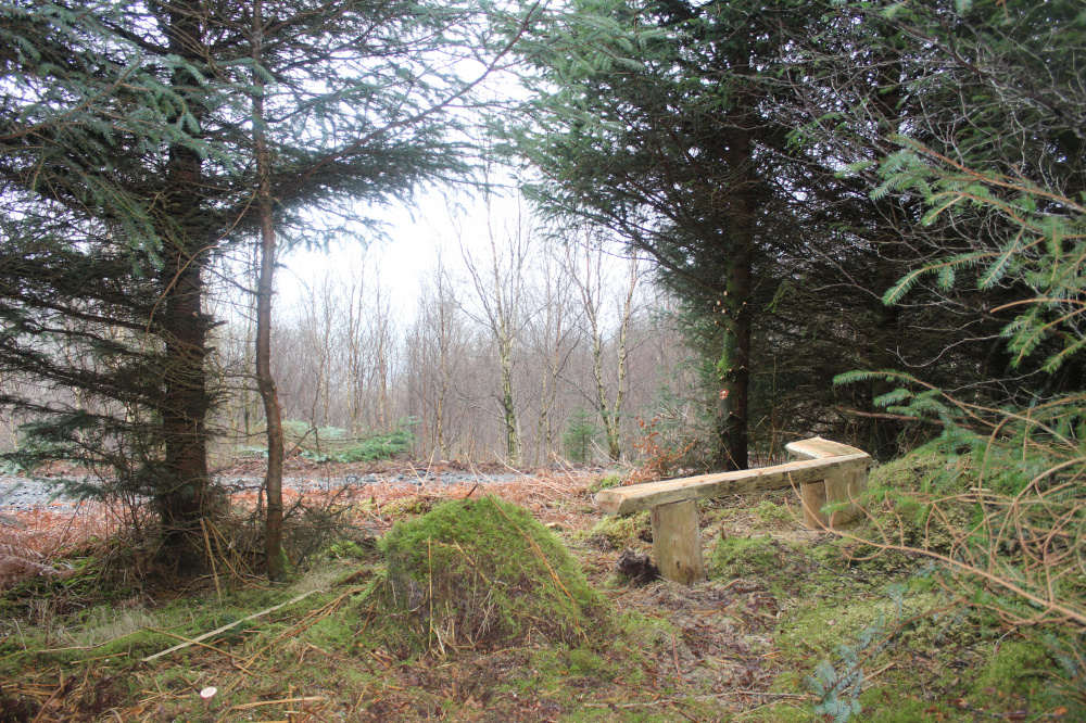 Rustic bench