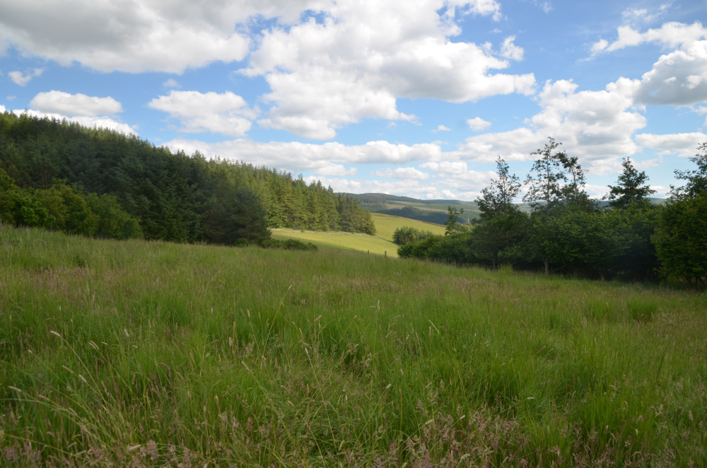 Open area