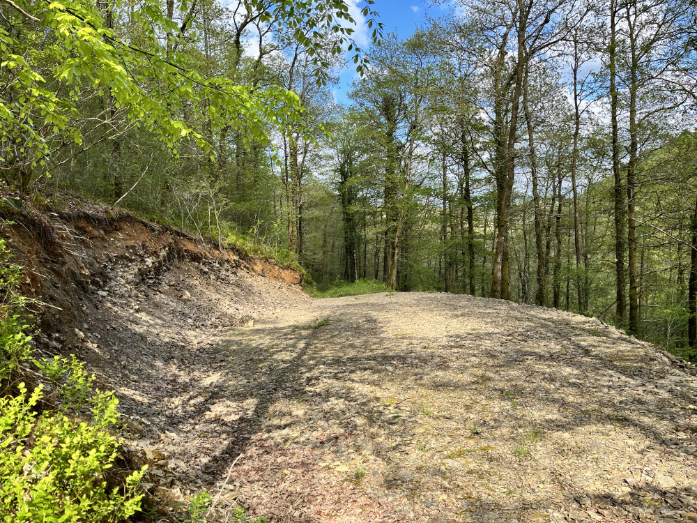 Large level area 